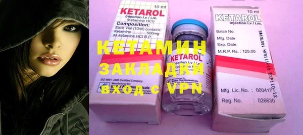 шишки Белокуриха