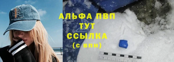 шишки Белокуриха