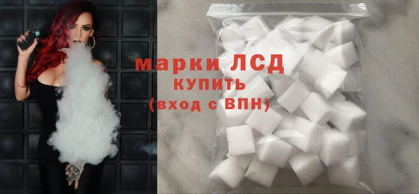 шишки Белокуриха