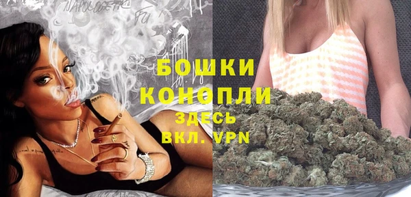 стаф Белоозёрский