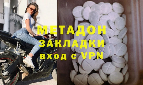 шишки Белокуриха