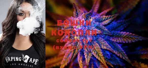 стаф Белоозёрский