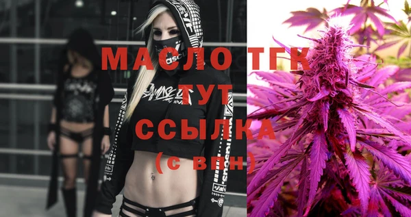 шишки Белокуриха