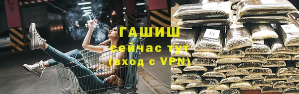 шишки Белокуриха