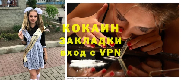 шишки Белокуриха