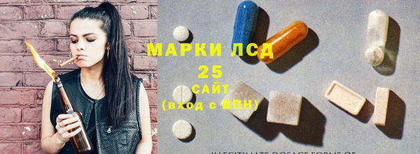 шишки Белокуриха