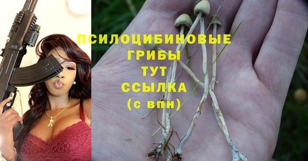 шишки Белокуриха
