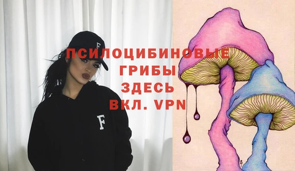 шишки Белокуриха